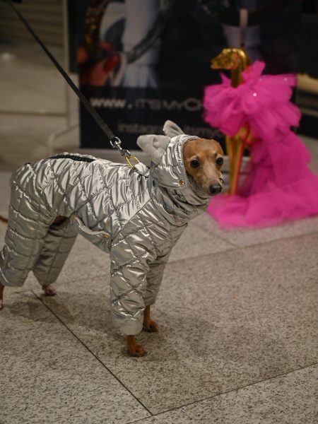 Srebrny kombinezon zimowy