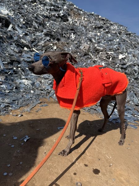 Płaszcz wełniany, neon orange