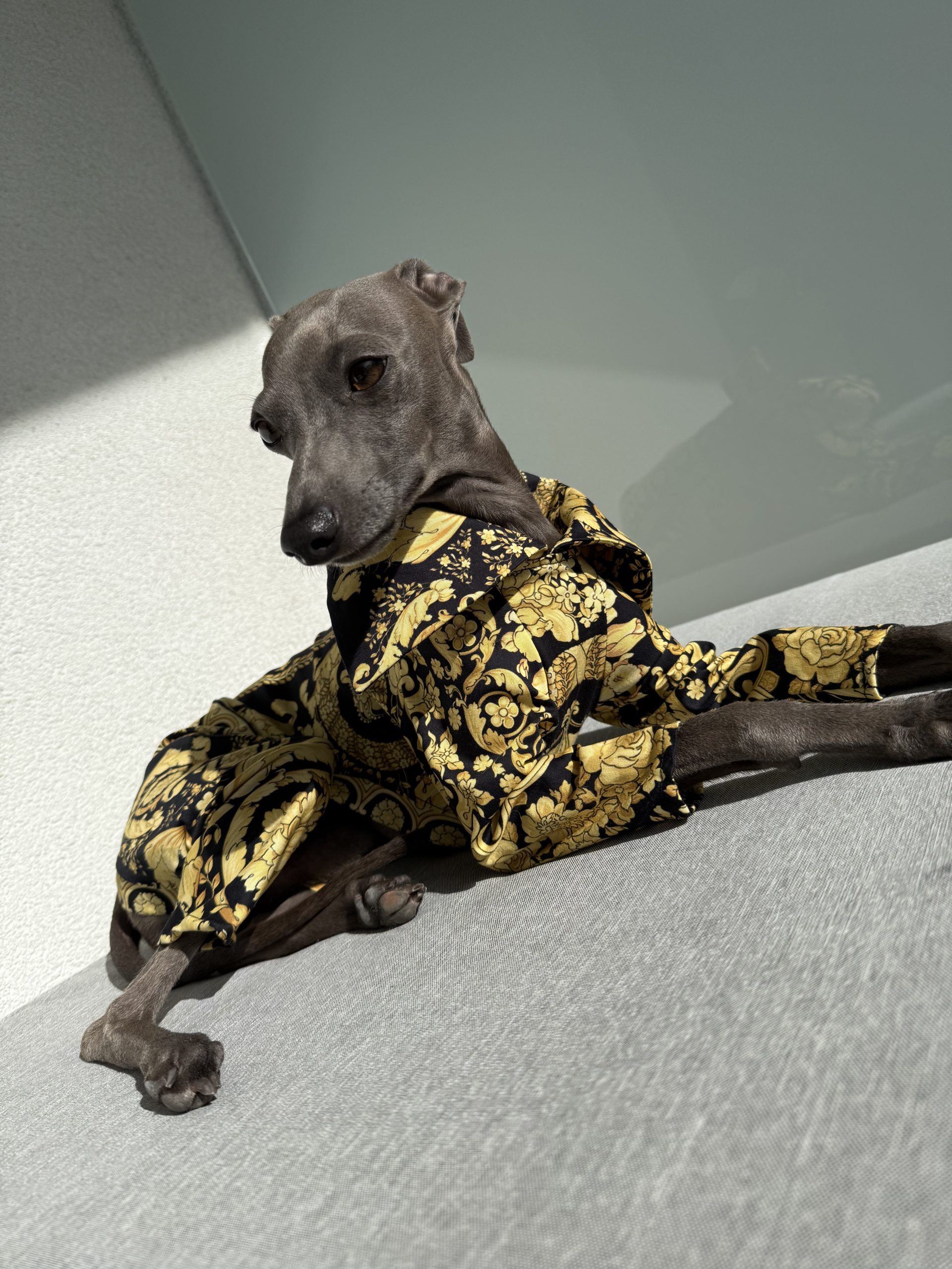 Kombinezon z kołnierzykiem - obrazek 3