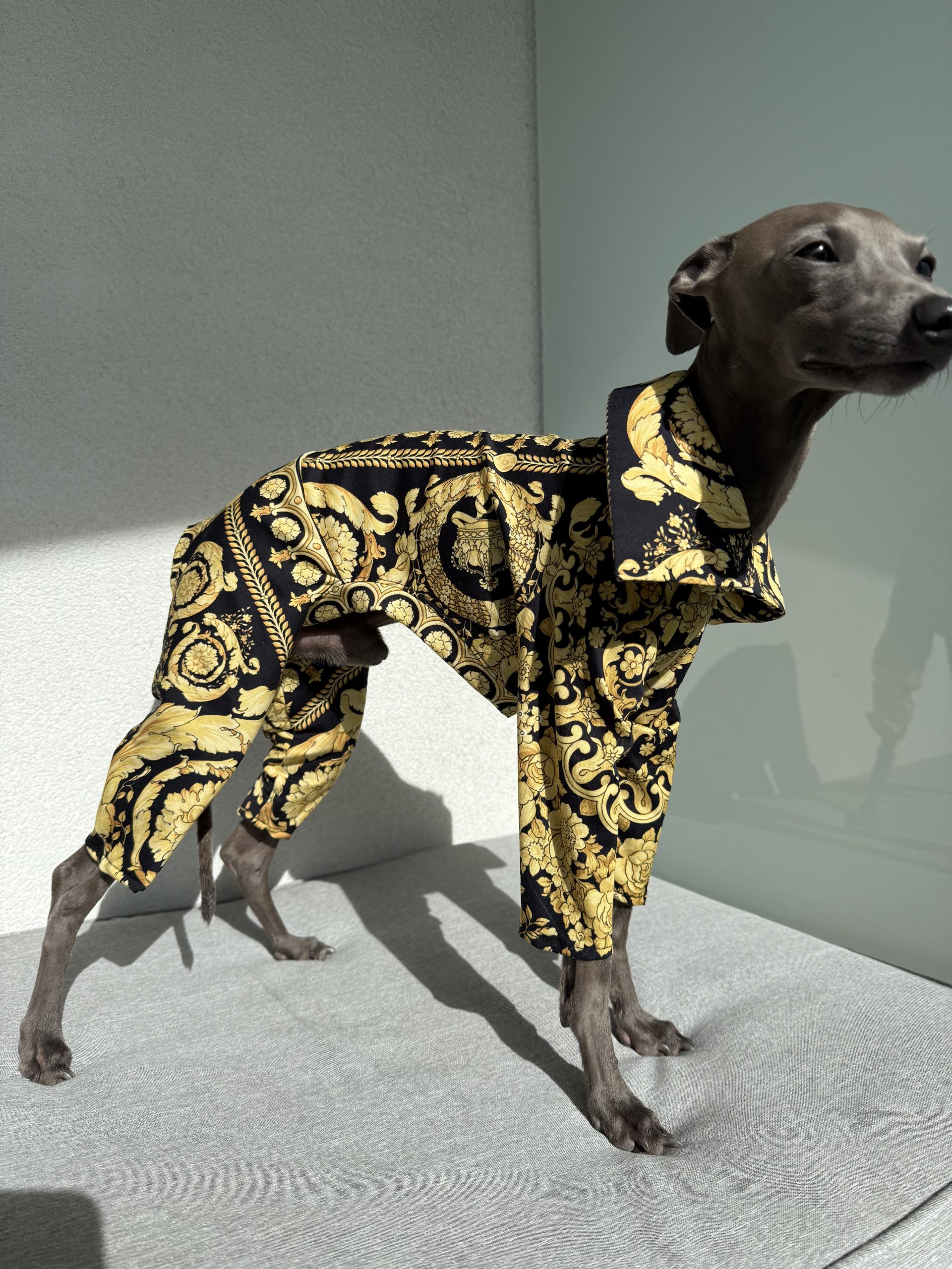 Kombinezon z kołnierzykiem