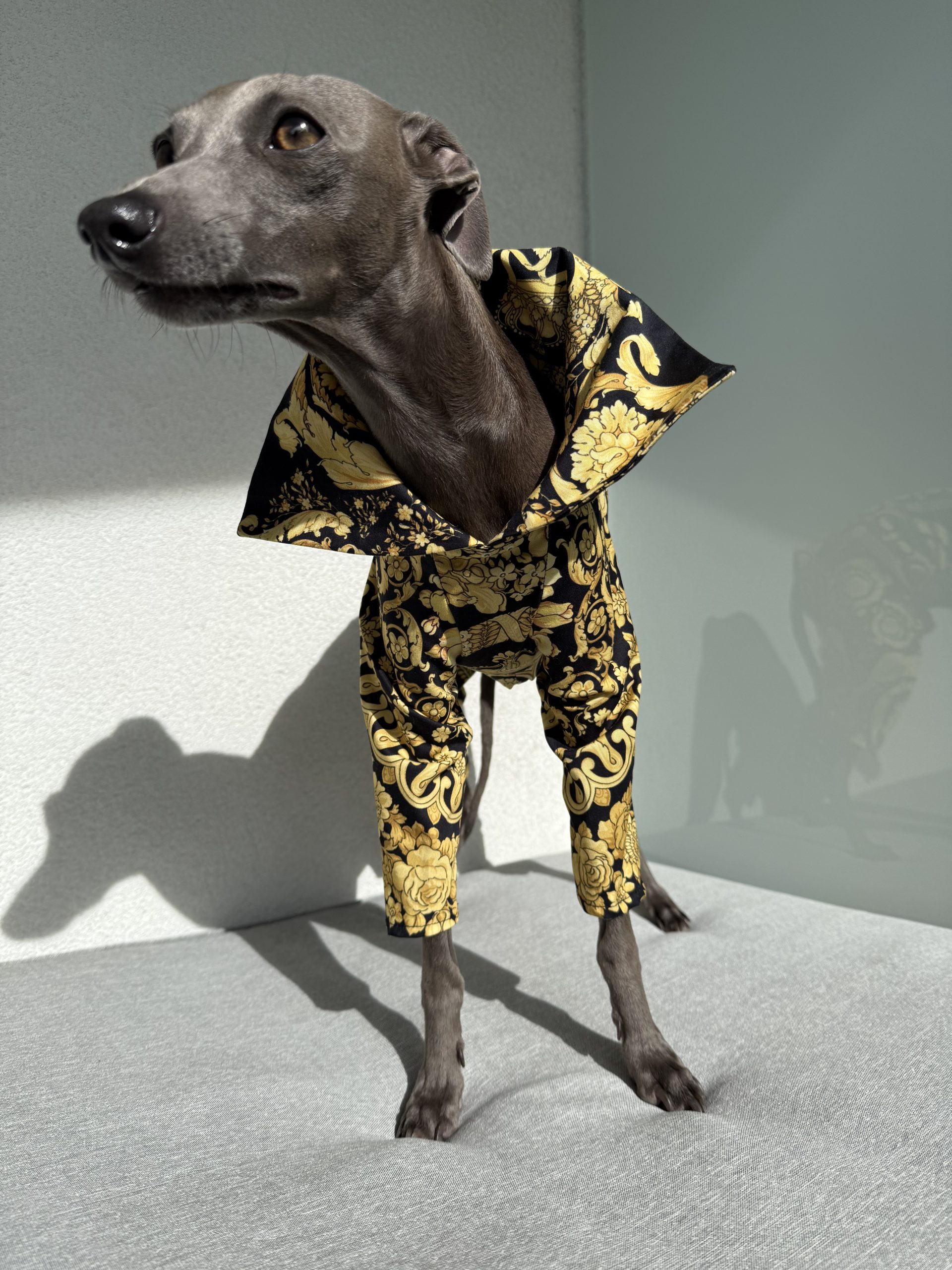 Kombinezon z kołnierzykiem - obrazek 4