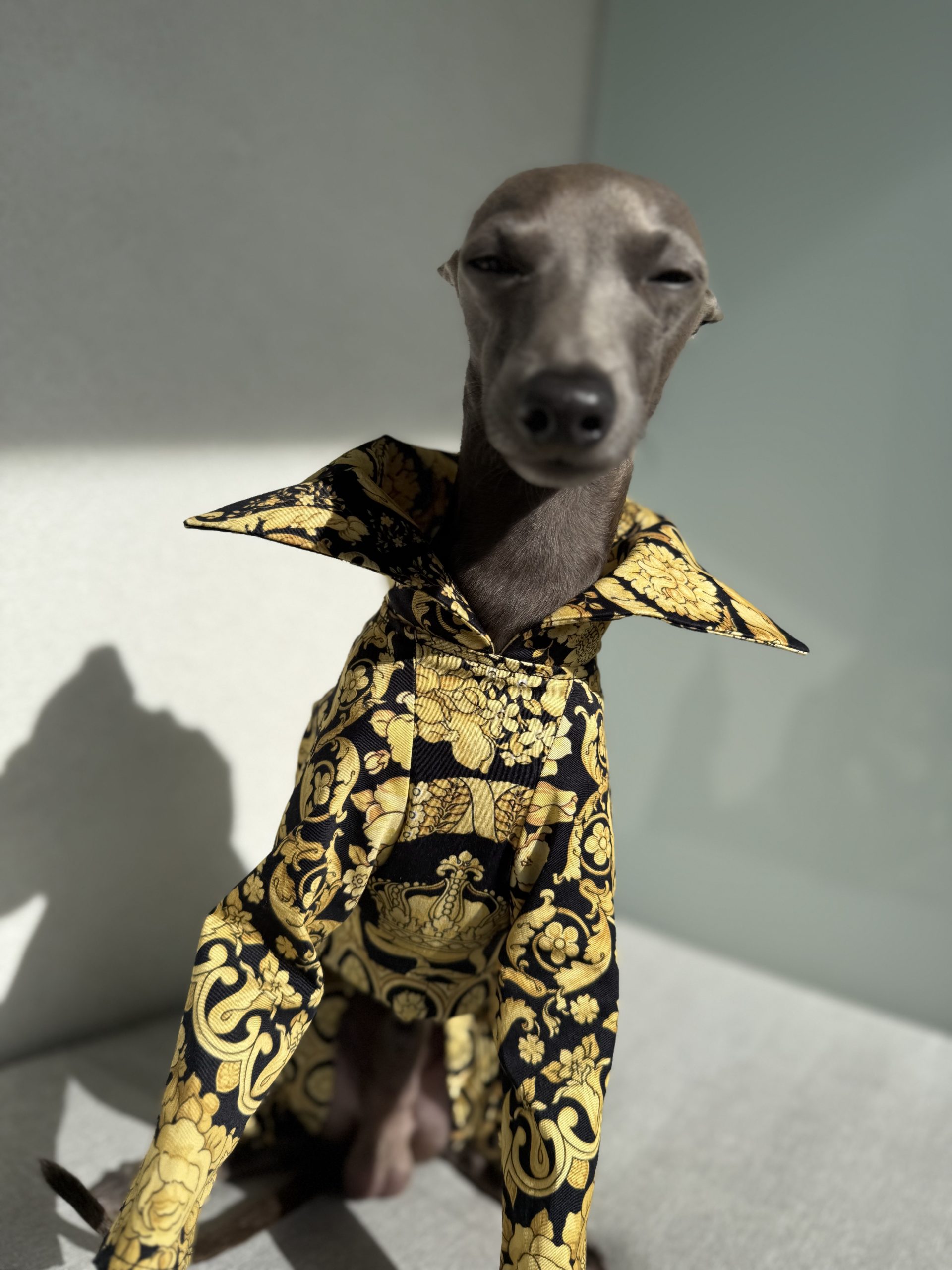 Kombinezon z kołnierzykiem - obrazek 6