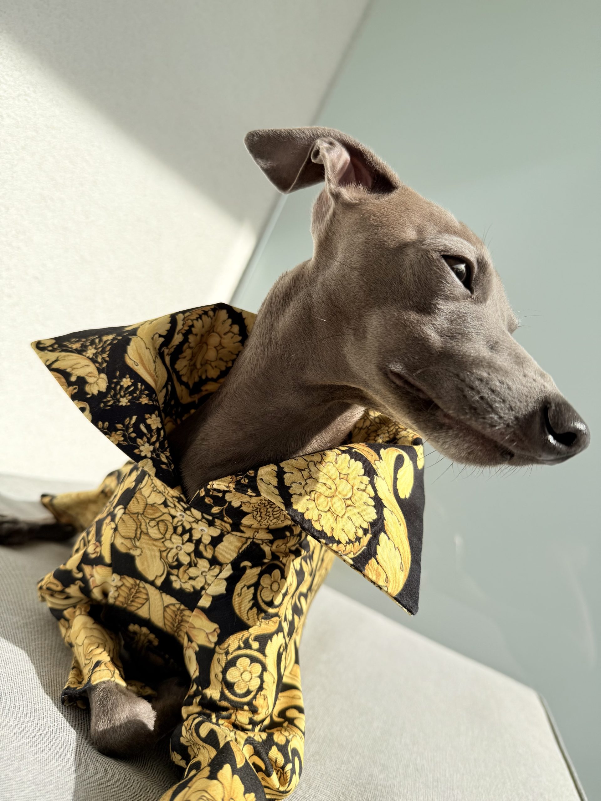 Kombinezon z kołnierzykiem - obrazek 5