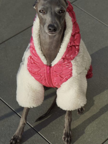 Pikowana kurtka dla psa - fuksja