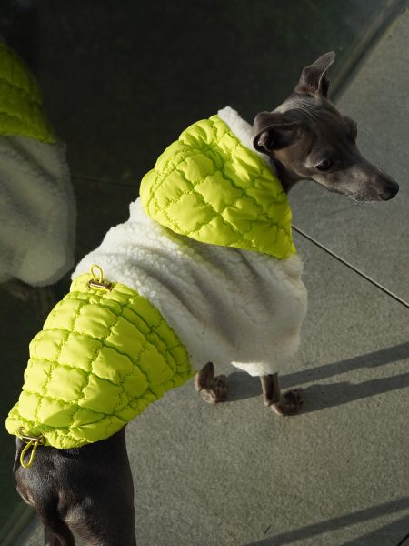 Pikowana kurtka dla psa -  seledyn