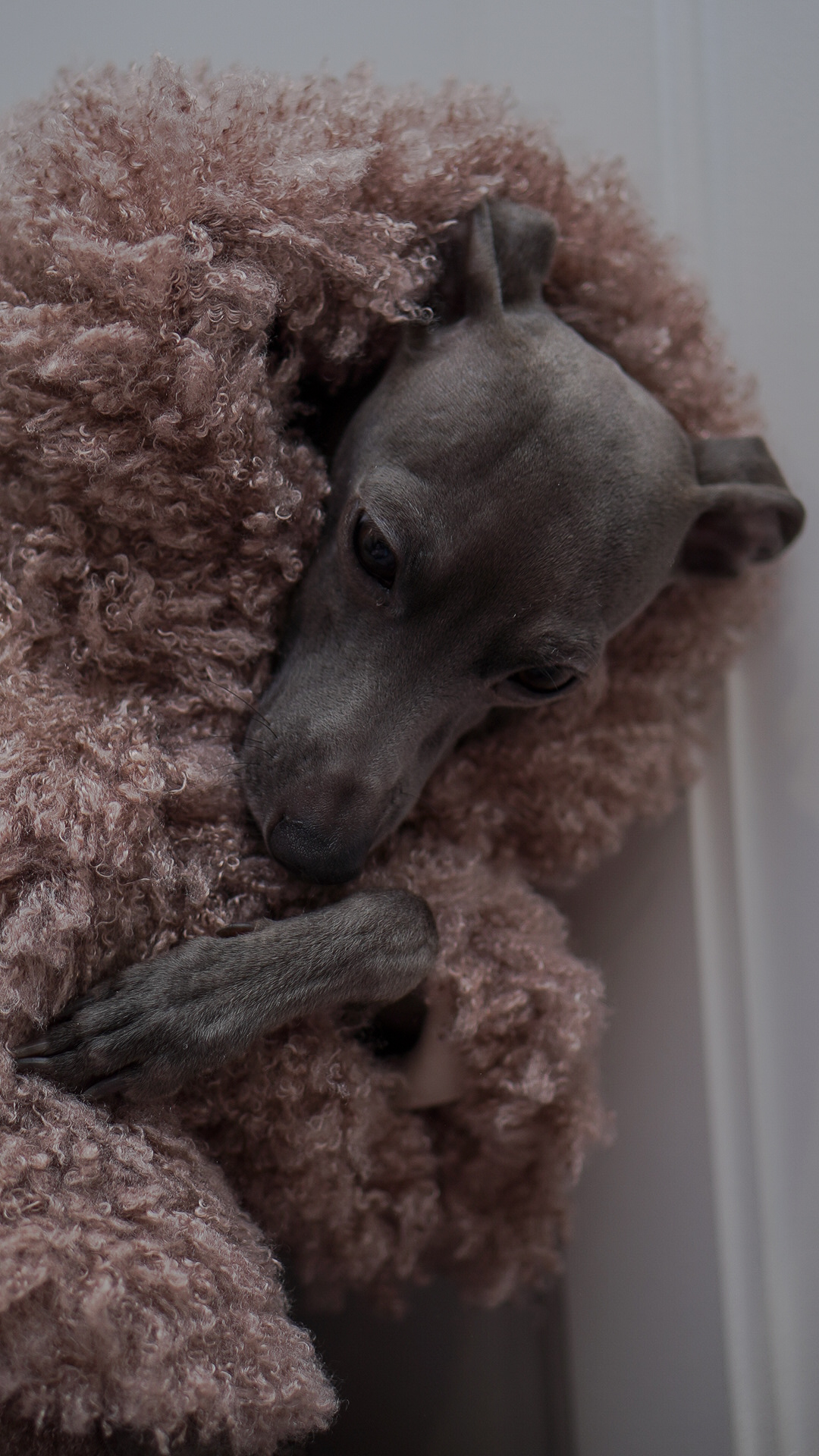 Kurtka soft touch z kapturem - obrazek 3