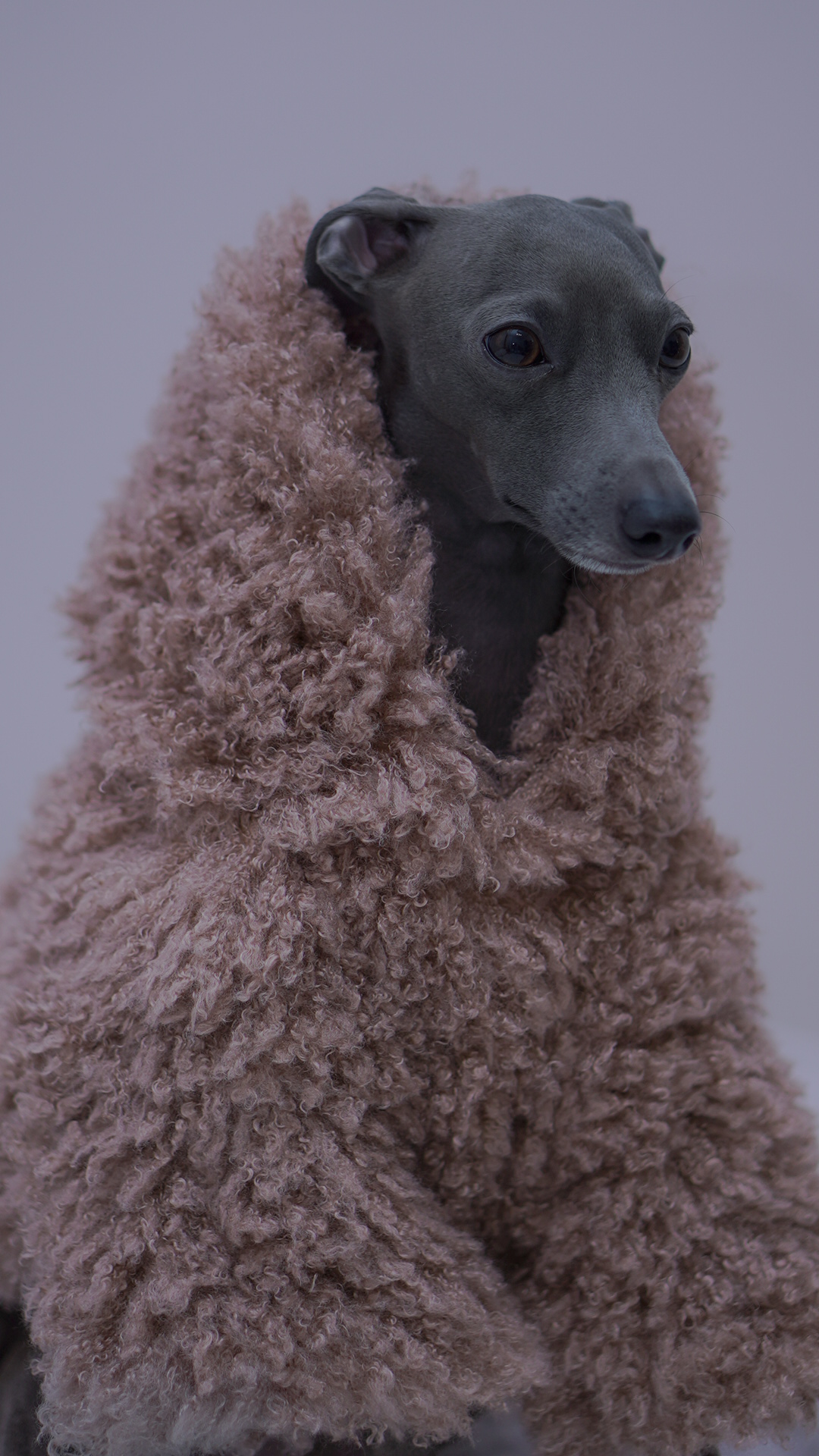 Kurtka soft touch z kapturem - obrazek 5