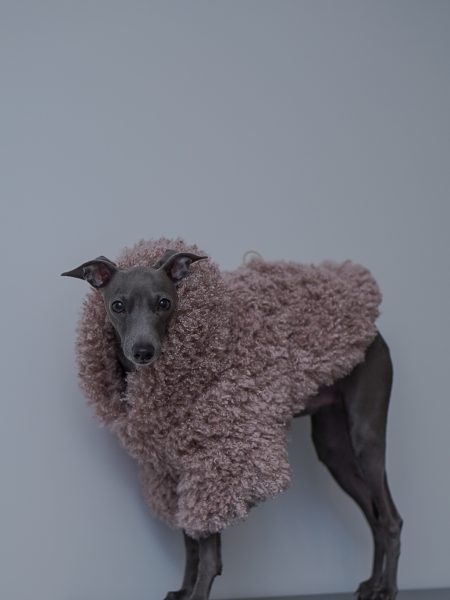 Kurtka soft touch z kapturem