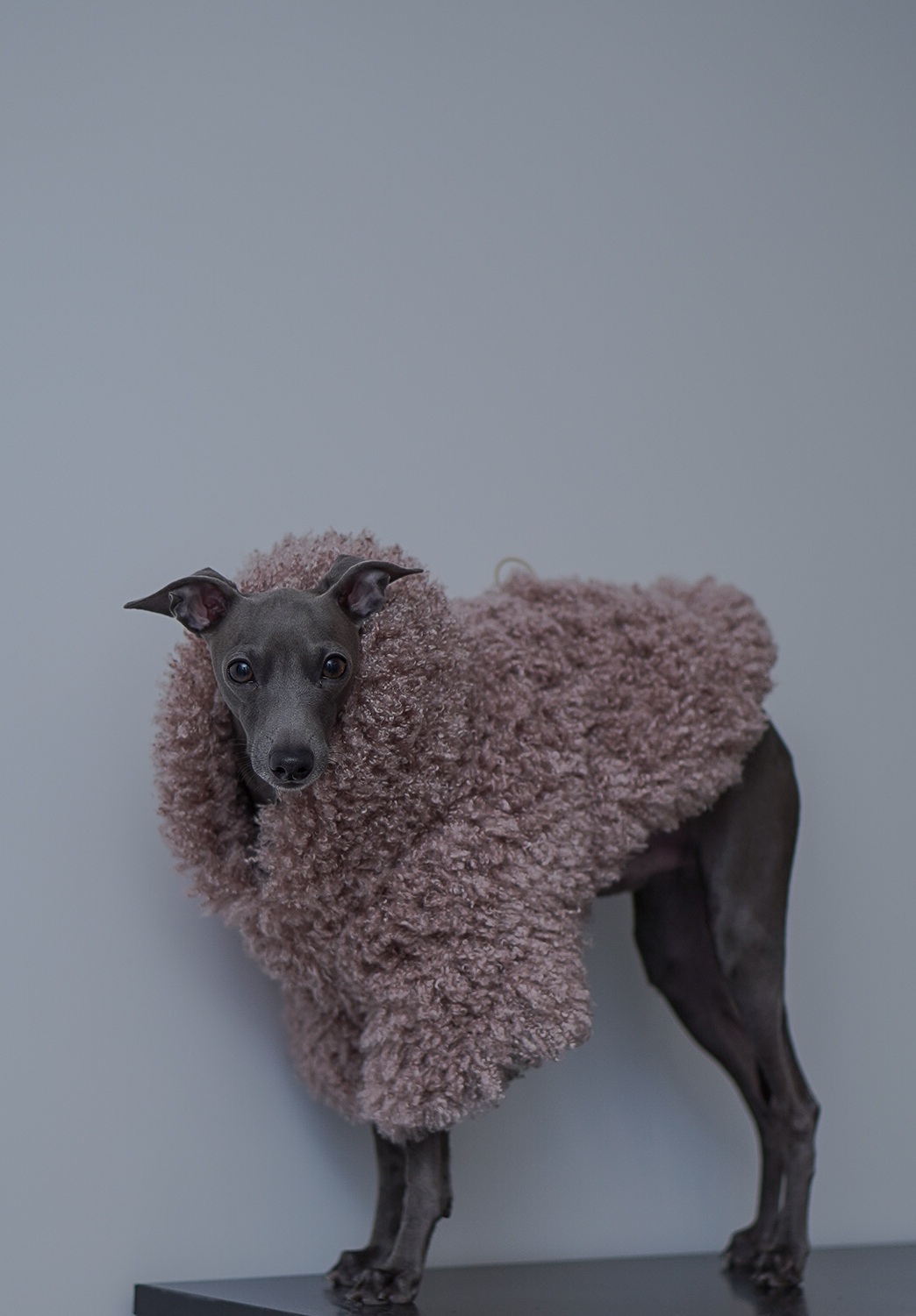 Kurtka soft touch z kapturem