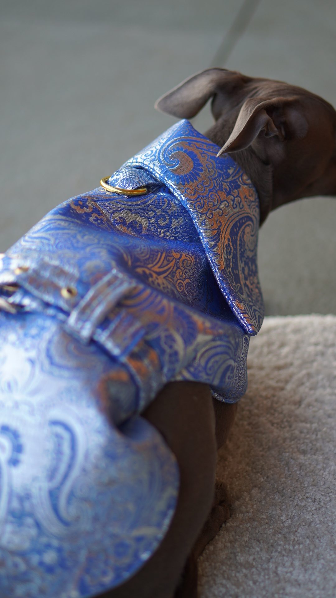 Płaszcz piankowy - niebiesko-srebrny - obrazek 4