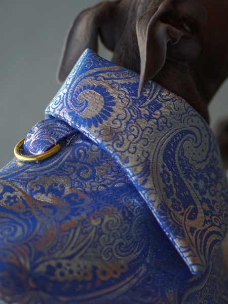 Płaszcz piankowy - niebiesko-srebrny