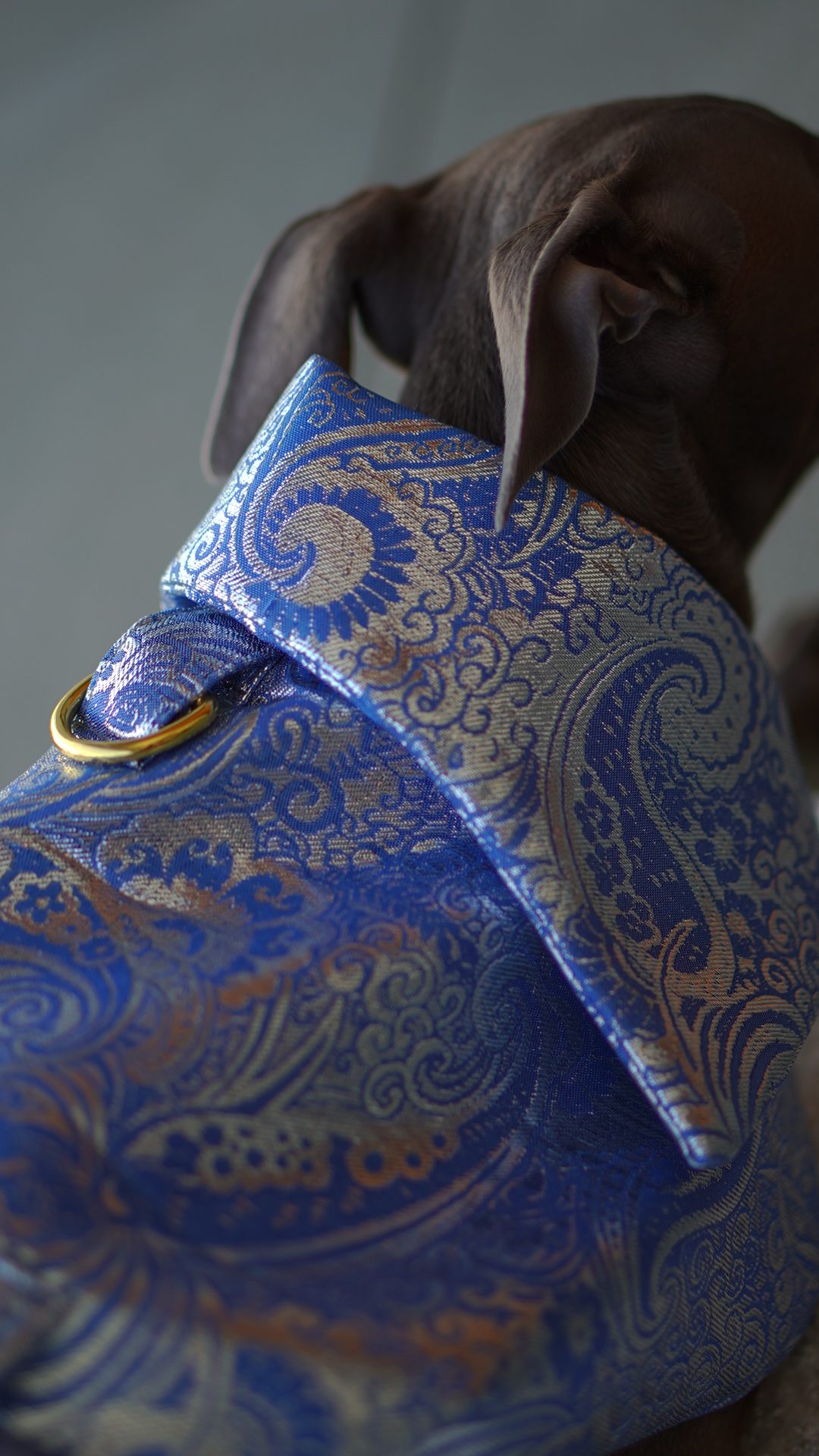 Płaszcz piankowy - niebiesko-srebrny